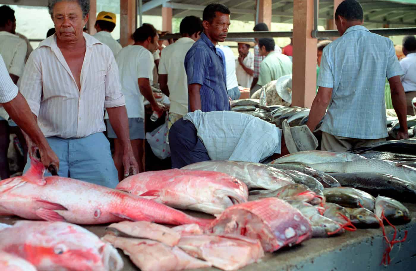 Seychellen – Insel Mahe - Markt