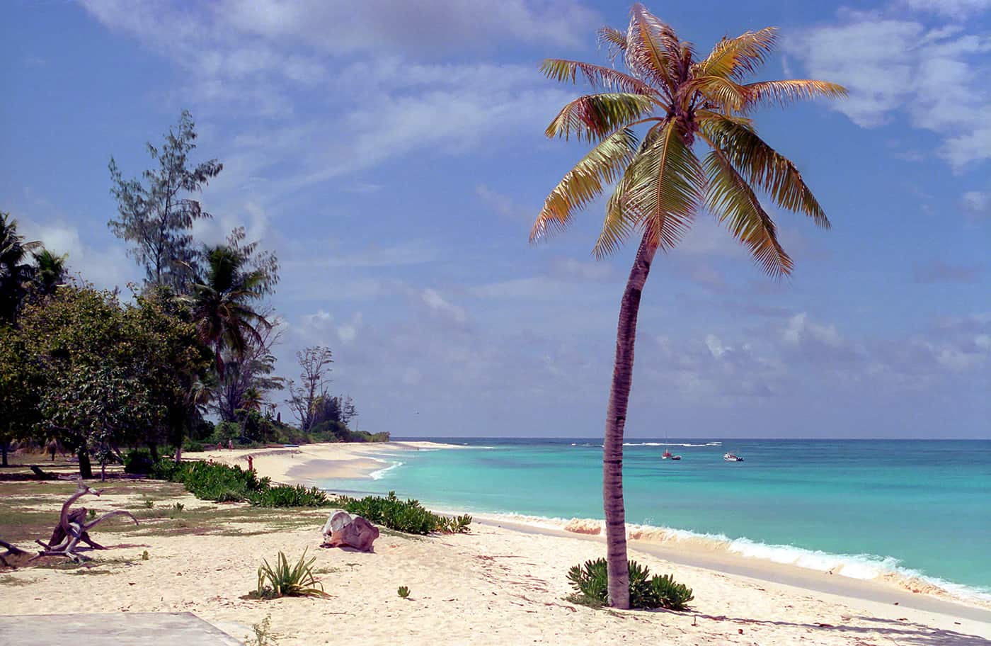 Seychellen Bird Island