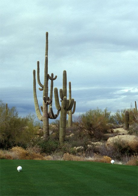 Arizona - Golfplätze