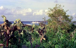 Galapagos - Insel Isabela