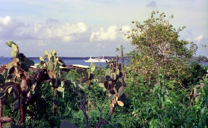 Galapagos - Insel Isabela