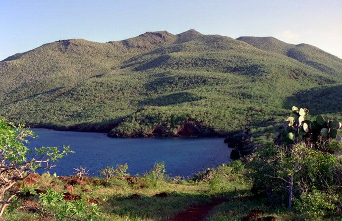 Galapagos - Vegetation - Flora