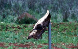 Australien - Cape York