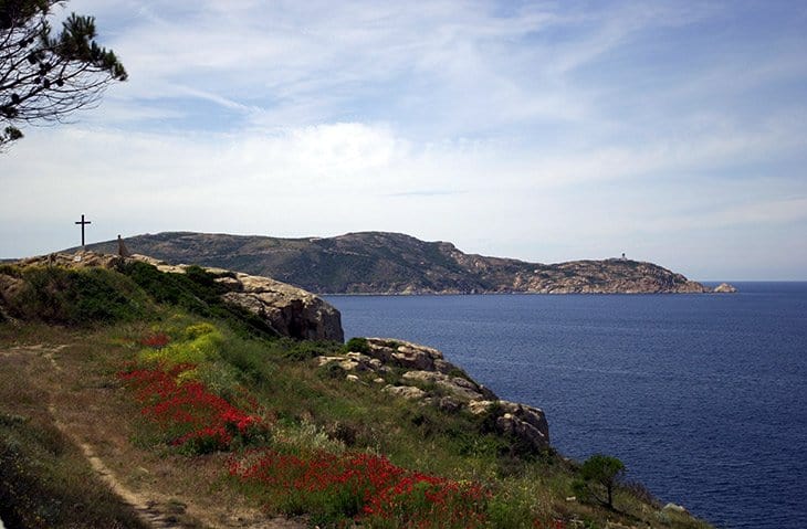 Corsica - Calvi