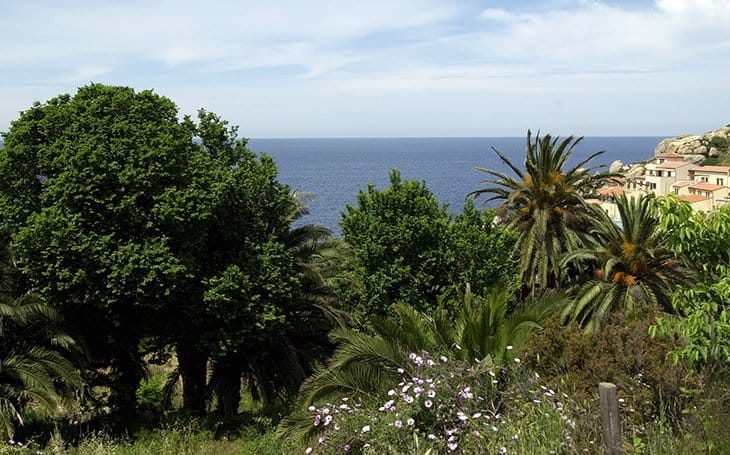 Korsika - Küsten