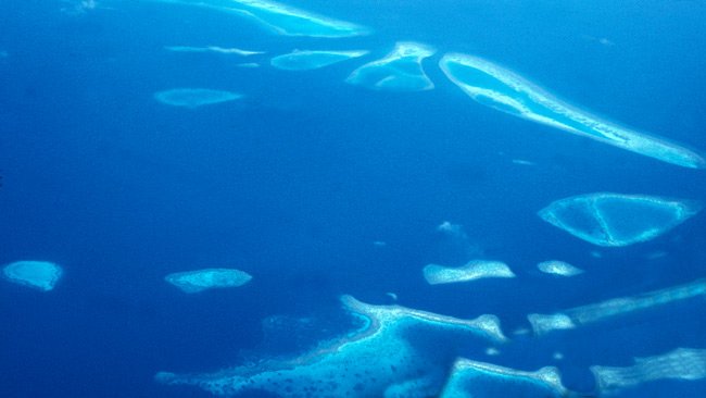 Maldives - Diving