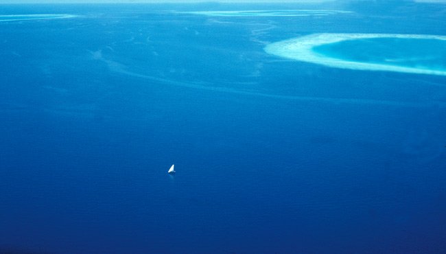 Maldives - Diving