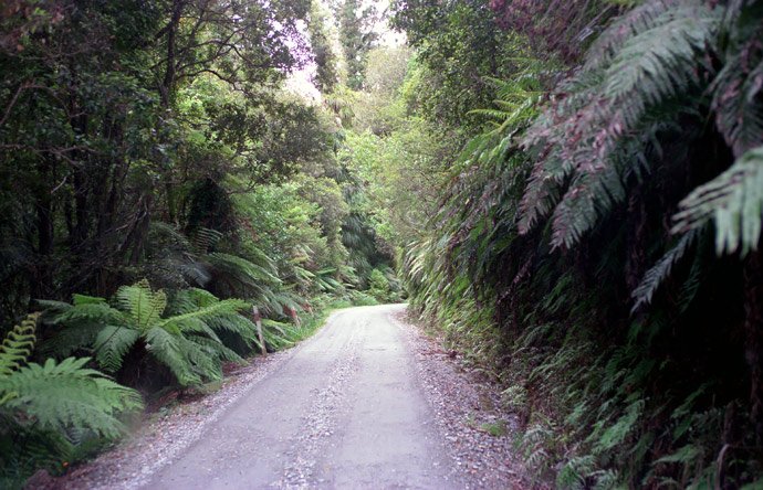New Zealand - Coromandel
