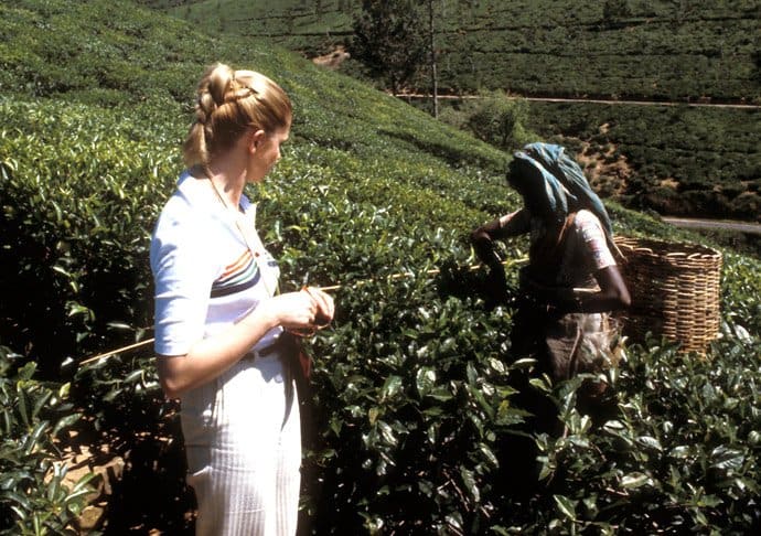 Sri Lanka - tea plantation