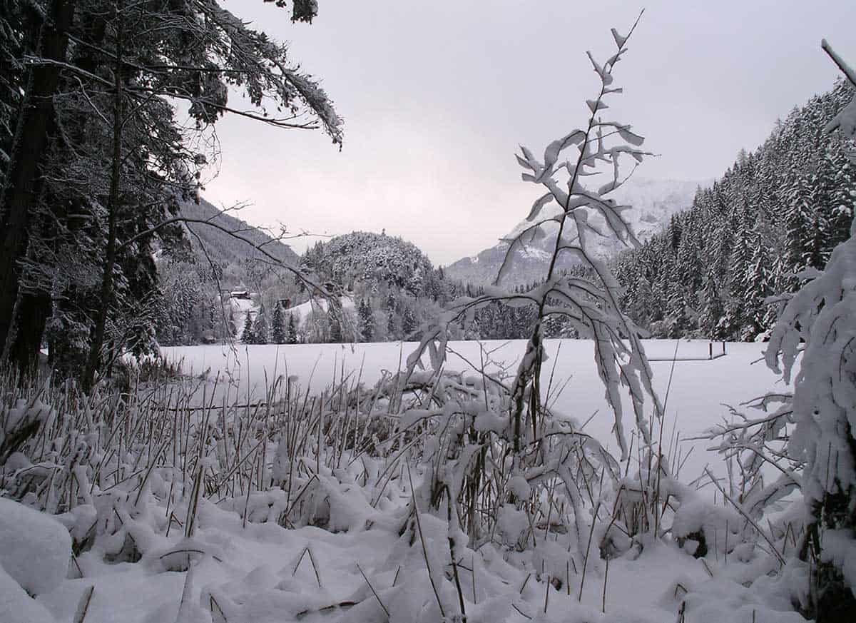 Piburger Lake - Winter
