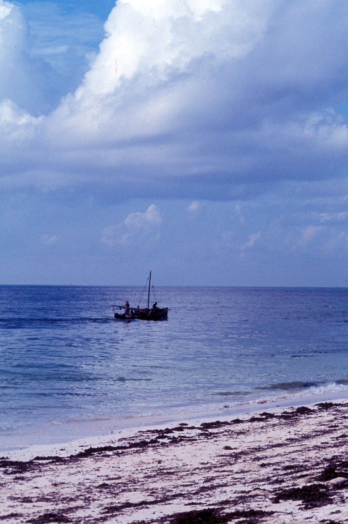 1981_02_006 1981 02 006
