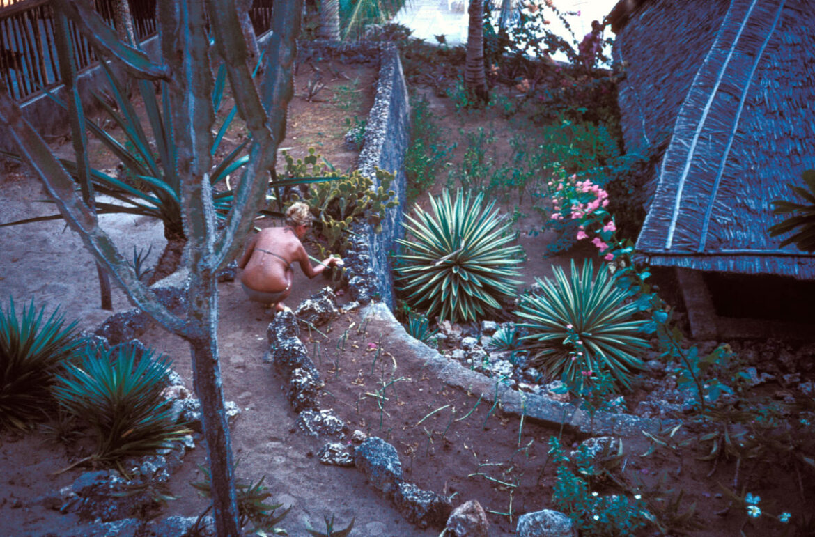 1981_02_075 1981 02 075