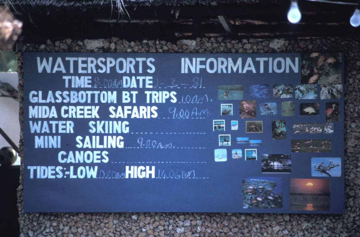 1981_02_084 1981 02 084
